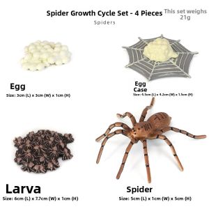 Prank Scaring Fun Toy Tarantula Model