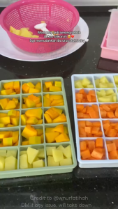 Babymommy👶Ice Cube Tray Ice Maker Big Ice Mold Silicone Baby Food Storage Container Kitchen Acuan Kiub Ais 硅胶制冰模制冰格