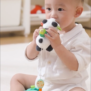 PULL STRING PANDA DINOSAUR PLUSH TOY SPINNING PLANT WITH BELL WIND UP SOOTHER FOR BABIES 0-36 MONTHS