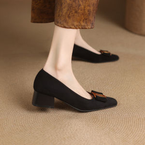 Large Size Womens Shoes 41 to 43 Square Head Shallow Mouth 2025 New Thick Heel Spring Autumn Velvet Surface Elegant Versatile Medium Heel Womens Shoes