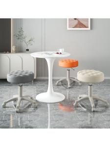 MOLORE | Adjustable Rotatable Beauty Shop Chair