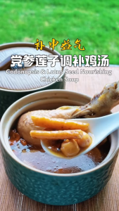 Codonopsis Lotus Seed Nourishing Soup 党参莲子调补汤 1人份/4人份 药膳汤包 大洋海味 Great Ocean Dried Seafood