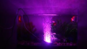 Lampu LED Akuarium Gelembung RGB Submersible Tank Light Bubble