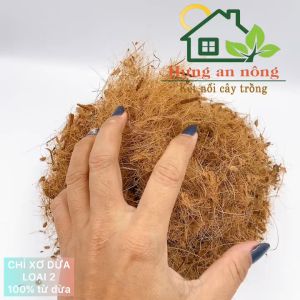 Túi 200g - Chỉ xơ dừa hữu cơ chuyên dùng giá thể trồng lan kiểng lá đấp gốc