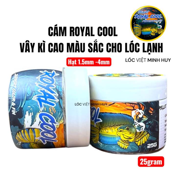 java là gì? khám phá lịch sử, đặc điểm... Cám royal cool 25gram hổ trợ vây kì cao và màu sắc cho cá lóc lạnh,nữ ...