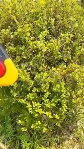 Đèn Cảnh Báo Nguy Hiểm Ô Tô Năm Chế Độ Đèn Phản Quang Cảnh Báo Nguy Hiểm Biển Cảnh Báo Tam Giác Đèn Cảnh Báo Sự Cố