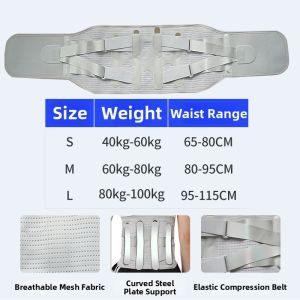Support Belt for Sports and Daily Activities