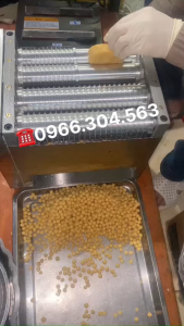 Máy Vo Viên trân châu bánh nhãn làm viên thuốc đông y tinh bột nghệ...kích cỡ viên 6-8-10mm