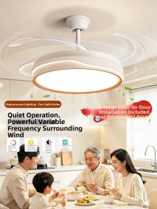 DGY | Invisible Ceiling Fan Light New Home Bedroom Protection Eye