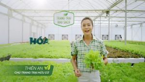 [Combo] Nước Rửa Chén Bát Thiên Nhiên Sunlight - Hàng Khuyến Mãi (200/500/550G)