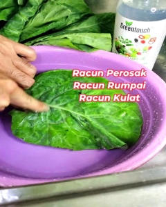 Natural Fruits & Veggies Cleanser