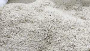 【SG Supply】Premium Wheat Bran – Natural Animal Feed / Mealworm Substrate / Garden Use