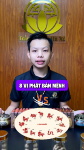 Mặt phật bản mệnh đeo cổ trầm hương tuổi tý sửu dần mão thìn tỵ ngọ mùi thân dậu tuất hợi có kèm dây Trầm Hương Hà Xá