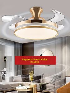 Chigo | New Ceiling Fan Light for Bedroom and Dining