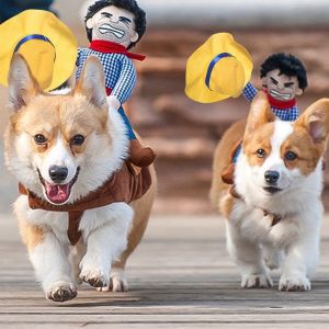 Funny Pet Cosplay Outfit: Dress Up Your Pet in a Cowboy Rider Costume