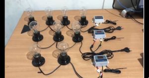 Paket Siap Pakai Termostat W3001 Kap.50 Sampai 60 Butir Mesin Tetas