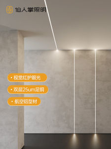 Living Room Bedroom Embedded Linear LED Light Strip Aluminum Channel Lighting Cactus Lighting Smart App Control 220V 5 Years Warranty