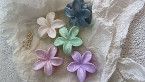 [ชุด 6 ชิ้น] ผู้หญิง 8 ซม. กิ๊บผมไข่ดอกไม้รูปร่างเล็กสดชื่นสไตล์วันหยุดมี 6 สีให้เลือก