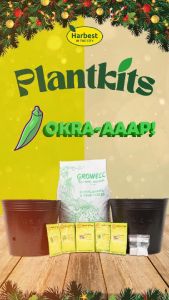 [Plantkits] Okra-aaap! Okra Planting Set OPV or F1 - Harbest In The City