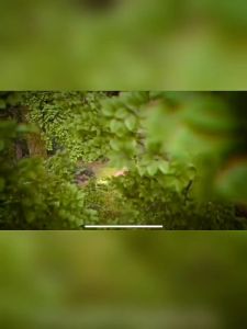 LABUBU Oversized Childrens White T-shirt Cotton Short Sleeve Shirt Girls and Boys Sports Top Middle and Large Kids T-shirt 9 to 12