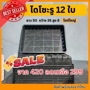 ถาดไดโซะยกโหล ถาดเพาะเมล็ด ถาดเพาะต้นอ่อน