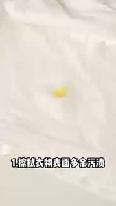 Magic Stain Remover Pen Water-Free Instant Clothes Oil Dirt Remover Pen 12ml Powerful Pen Penghilang Noda 去污笔