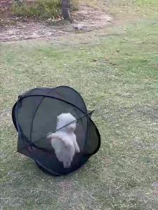 Foldable Outdoor Cat Play Tent Portable Mesh Cat Enclosure Breathable Pop Up Cat Cage Anti-escape Cat House for Patio Garden Travel Indoor Outdoor Pet Cat Playpen