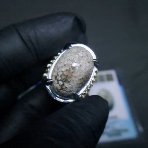 Natural fossilized cowry shell Set Ring Dengan Memo SkyLab