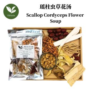 瑶柱虫草花汤 Scallop Cordyceps Flower Soup 润肺补气提神 药材汤 Yao Zhu Chong Cao Hua Tang 4-5 person Chinese Herbal Soup