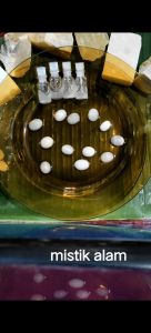 batu cincin mani gajah siap potong 100% asli bergerak dalam cuka