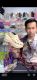 KING STAR SELLER SHOES JR