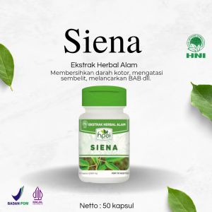 Siena Jati Cina HNI Original - Melancarkan Buang Air Besar