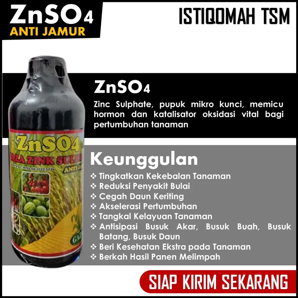 Ruslar sokinish bilan sikish video It uslubidagi mushukcha surati