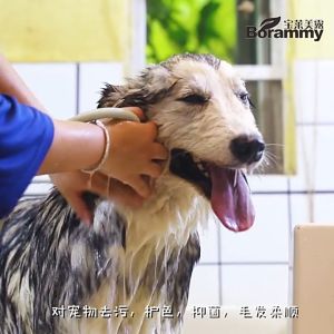 คลินิก แชมพูสู้สุนัขและเจลอาบ 500ml น้ำยาอาบ แชมพูหมา น้ำยาอาบ ครีมอาบ ครีมอาบน้ำหมา