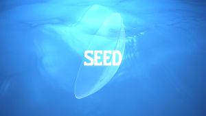 Kính áp tròng SEED Nhật Bản dùng 1 ngày không màu lens SEED 1dayPure trong suốt - 4 chiếc/ Diop