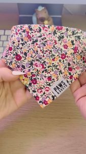 PAWS & GUSTO - Valentine Bandana 🌹💌 ผ้าพันคอวาเลนไทน์สำหรับแมวและสุนัข 💖💐