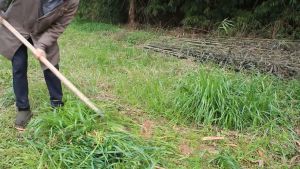 Alat Garuk Rumput Liar Multiguna: Solusi Praktis Berkebun