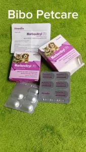 Marbovitryl FD dùng cho chó mèo gà đá viêm da tiết niệu hô hấp hộp 10 viên