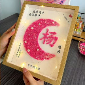 DIANDIANHUA | Teacher Gift Customizable DIY Kit Dried Babys Breath