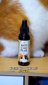 Anti Scabies Plus Clever Solutions Obat Jamur Kucing Scabies Gudik Demodex Impetigo Kutu