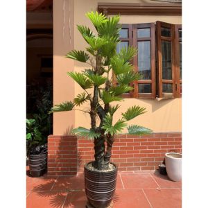 Cây cọ giả - Chiều cao từ 170cm đến 180cm - Cây giả hoa lụa Decor trang trí nhà cửa
