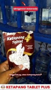 ECERAN KETAPANG TABLET PLUS vitamin C ikan hias cupang colour enhancer