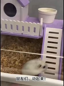 【READY-STOCK】Hamster Rainbow Wooden Platform Pet Parrot Hamster Perches Paw Grinding Springboard for Small Animals Pets 小宠物平台 仓鼠平台 仓鼠站台 小宠笼子