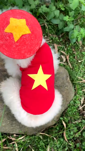 Áo Cờ Đỏ Sao Vàng ⭐️ Áo Cờ Việt Nam ! 🇻🇳 cho thú cưng ❤️