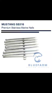 Mustang SS316 Stainless Steel Marine Grade Nail (Pako for Wood / Banca Use / Corrosion Resistant) – 1kg | ½kg | ¼kg Packs