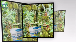 PHÂN BÓN HỮU CƠ HUMIC SD14