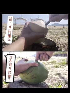 Dụng cụ khui dừa tươi dụng cụ đục lỗ trái dừa siêu nhanh tiện lợi-HAUSE