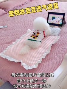 Detachable Dog And Cat Cooling Mat Bed Non-Stick Hair Ice Bean Bean Lightweight Portable Pet Mat for Summer Heat Relief