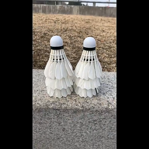 12PCS Badminton Shuttlecock Feather Ball High Quality Stable Natural Training Indoor Outdoor Sports