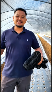 70%/90%Sun Shade Net UV Protection Garden Balcony Sunblock Netting Cloth Jaring Hitam Frost protection Resistant Shading Greenhouse Durable jaring untuk tanam bromeliad